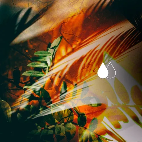 Kenny – Cosas Wenas [AYS179]