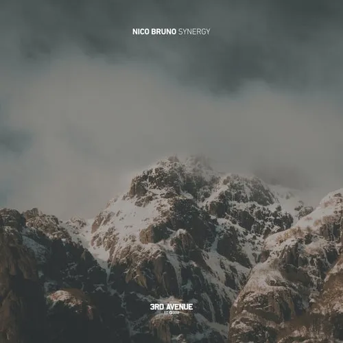 Nico Bruno – Synergy [3AV340]