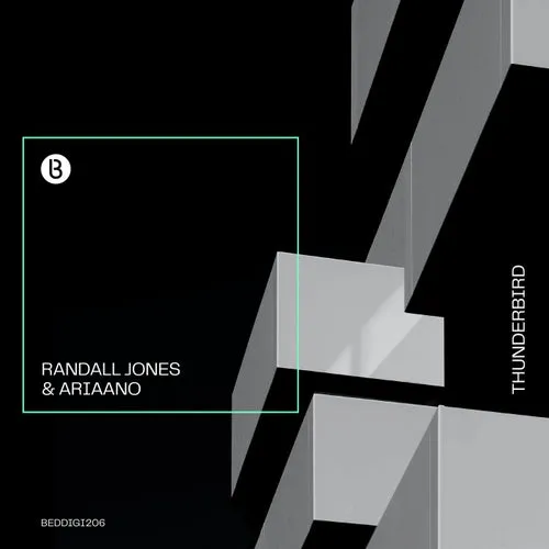 Randall Jones, ariaano - Thunderbird [BEDDIGI206]