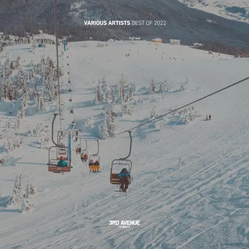 VA - Best of 2022 [3AV066LP]