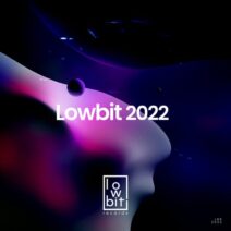 VA - Lowbit 2022 [LBRBOL2022]