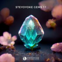 VA - Steyoyoke Gems 11 [SYYKCOMP018]