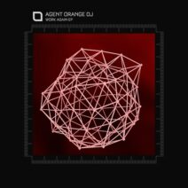 Agent Orange DJ - Work Again EP [TR447]