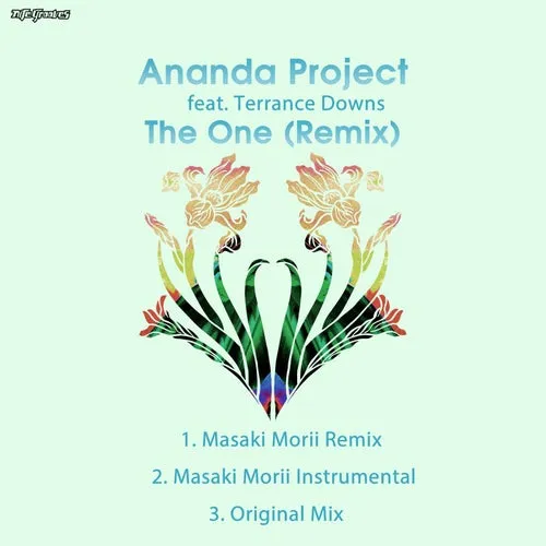 Ananda Project, Terrance Downs – The One (Remix) [KNG950]