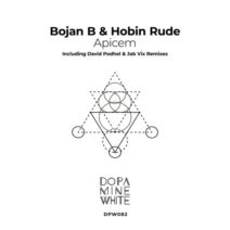 Bojan B, Hobin Rude - Apicem [DPW082]