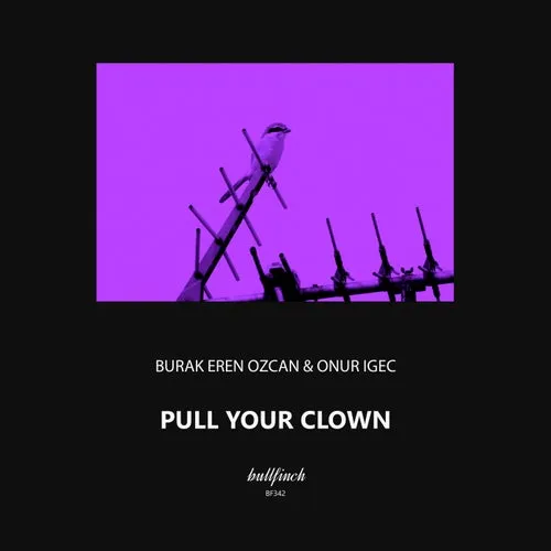 Burak Eren Ozcan, Onur Igec - Pull Your Clown [BF342]