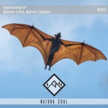 Damian Cotto, Marcos Calegari - Improvising EP [NS072]