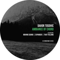 Davor Tosovic - Ambiance of Chord [CS108]