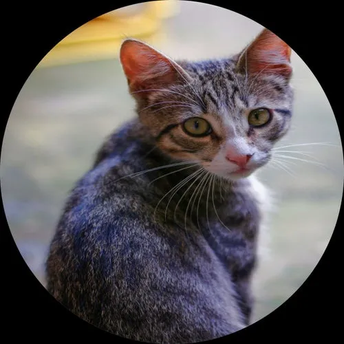 Jedsa Soundorom, Julio Red - Bandidos EP [HDRL199]