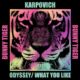 KARPOVICH - ODYSSEY : What You Like [BT160]