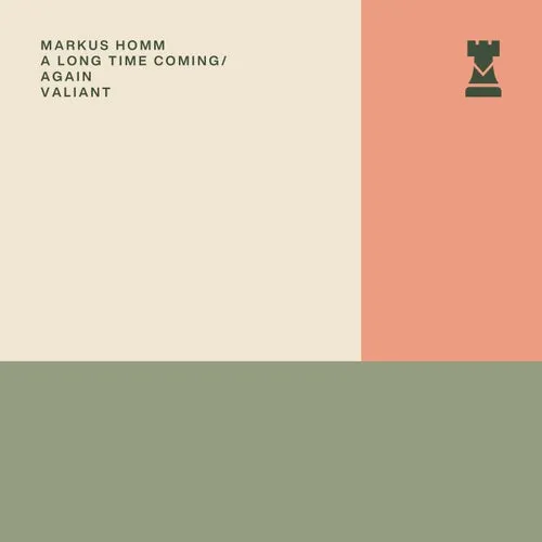 Markus Homm - A Long Time Coming : Again [VALR046I]