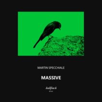 Martin Specchiale - Massive [BF343]