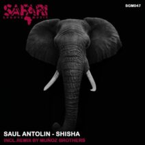 Saul Antolin - Shisha [SGM047]