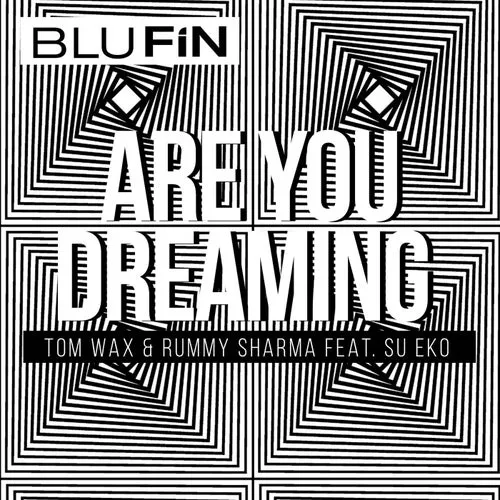 Tom Wax, Rummy Sharma, Su Eko - Are You Dreaming [BF362]