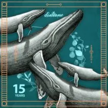 VA - 15 Years Anniversary [DT152]