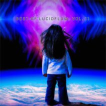 VA - Best of Lucidflow, Vol. 11 [DCD107]