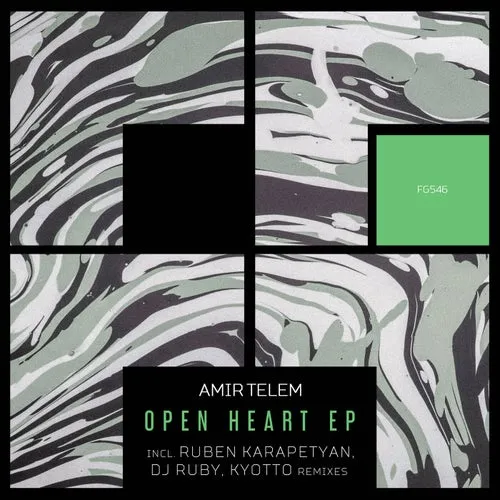 Amir Telem - Open Heart EP [FG546]