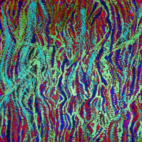 Doctor Dru - Trip To Bianya Remixes Pt. 1 [YH011A]