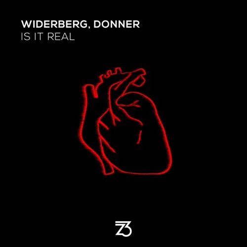 Donner, widerberg - Is It Real [ZT23601Z]