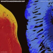 Franky Rizardo - Whatchagonnado EP [LTF015]