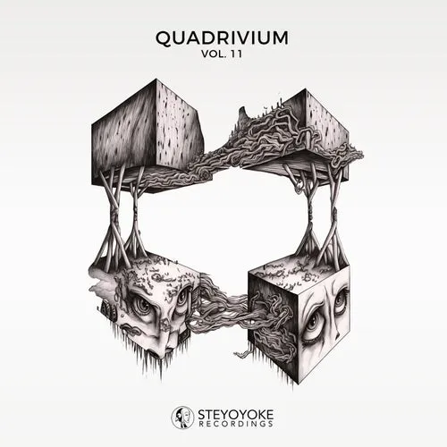 VA - Quadrivium, Vol. 11 [SYYK184]