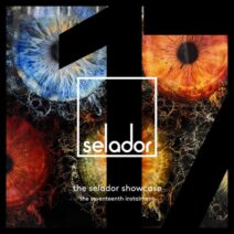 VA -The Selador Showcase - The Seventeenth Instalment [SEL163]
