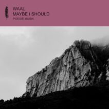 Waal - Maybe I Should [POM185]