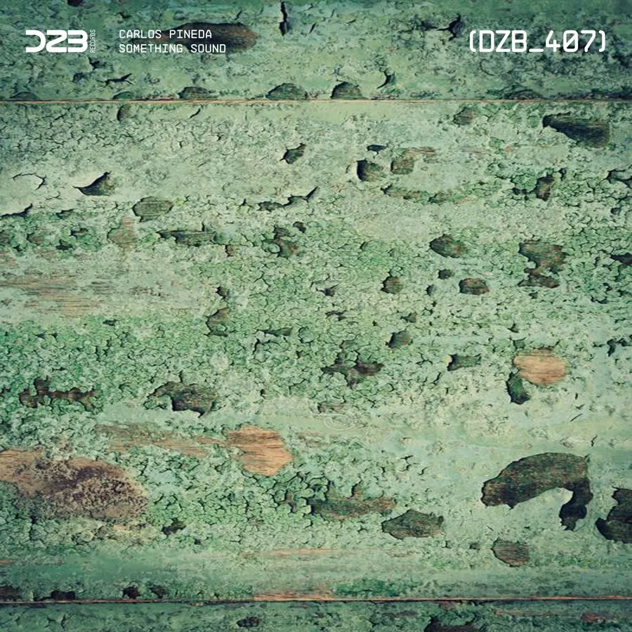 Carlos Pineda - Something Sound [DZB407]