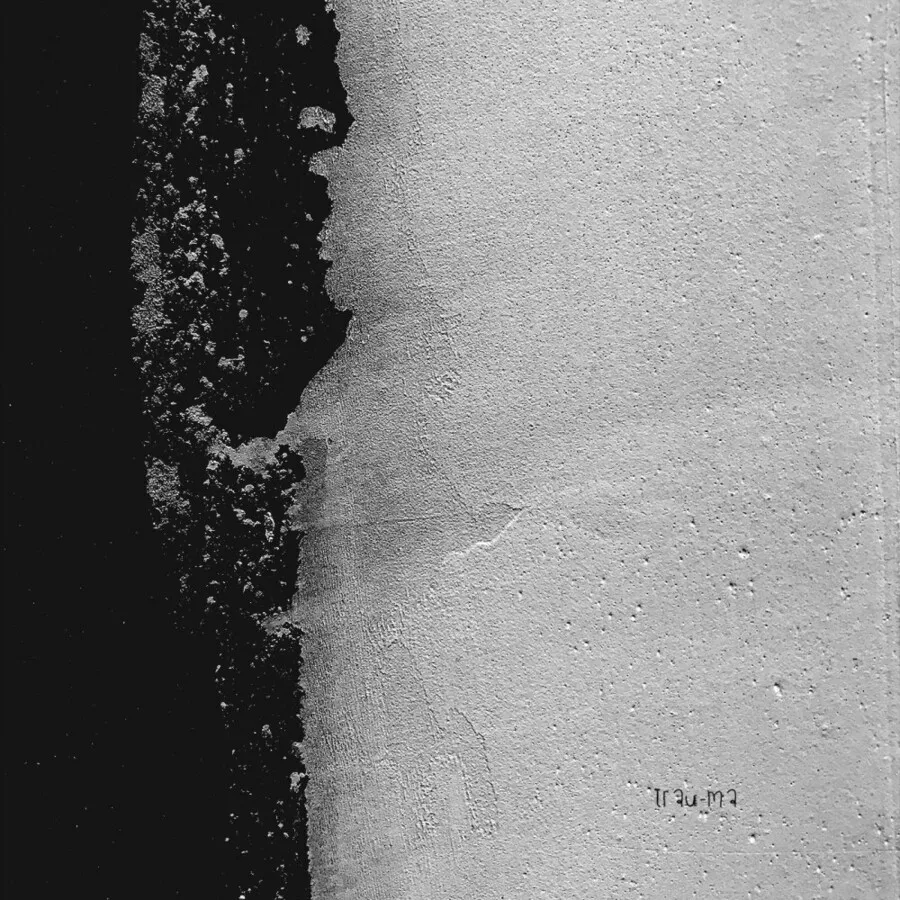 Daryn Steytler – Pulasting [TRM250]