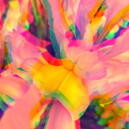 David Hasert, Diode Eins - Boy [DTZ166]