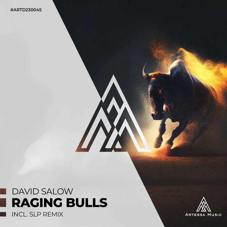David Salow – Raging Bulls [ARTD230045]