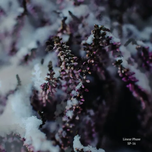 Linear Phase – SP-16 [EDITSELECT155D]