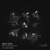 MINT (JPN) - Pray For Rain EP [TDR172]