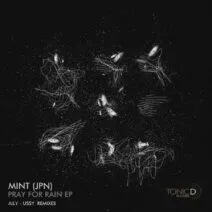 MINT (JPN) - Pray For Rain EP [TDR172]