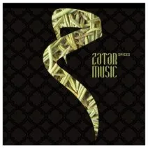 Phonique - Feel What You Want (Alar Remix) [ZATAR007A]