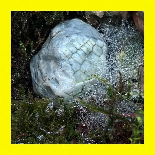 Thodoris Triantafillou – Magic Spell [BFR044]