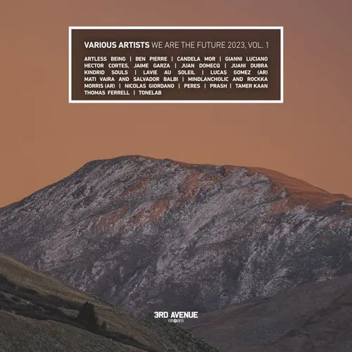 VA - We Are the Future 2023, Vol. 1 [3AV067LP]