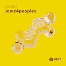 AVNU (UK) - Jamz4peoplez EP [PETS170]