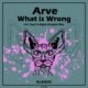 Arve - What is Wrong [KLX359]