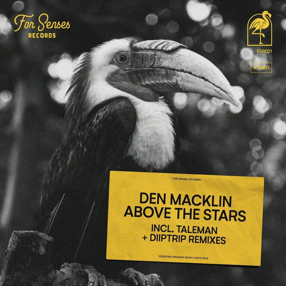 Den Macklin – Above the Stars [FSR021]