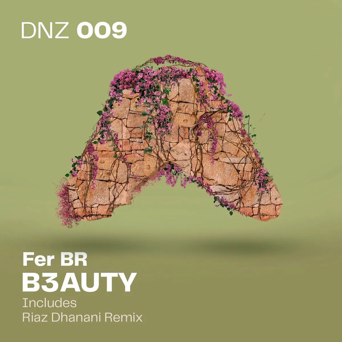 Fer BR - B3Auty [DNZ009]