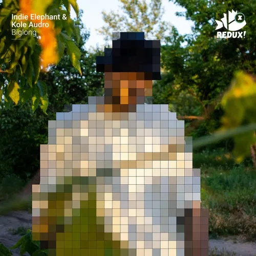 Indie Elephant, Kole Audro - Biglong [REDUX003]