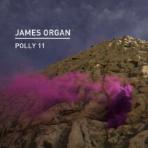 James Organ - Polly 11 [KD165]