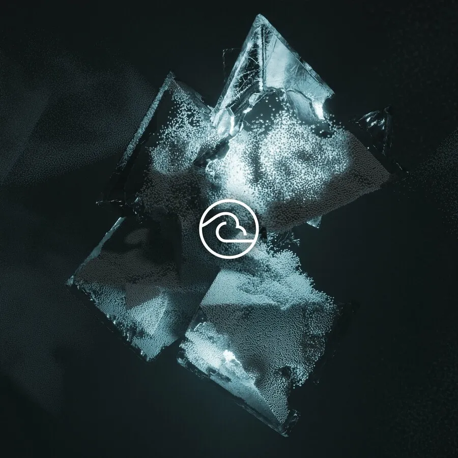 Lexer – Reverse Affection [RC60]