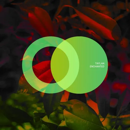 Taylan - Enchanted [AVE175]