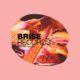 VA - Brise Mix Tape 10 [BRISEMT10]