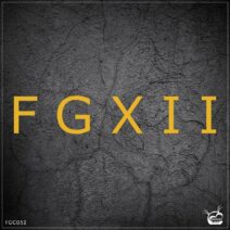 VA - FGXII (12th Years Anniversary) [FGC052I]