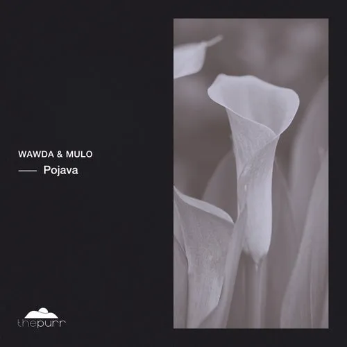 Wawda & Mulo - Pojava [PURR374]