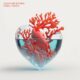 Alexander Koning - Coral Hearts [PRCPTN0101]