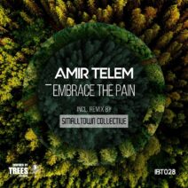 Amir Telem - Embrace the Pain [IBT028]